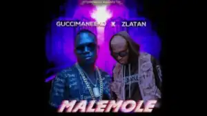 Guccimaneeko - Malemole Ft. Zlatan (Prod. Sarz)